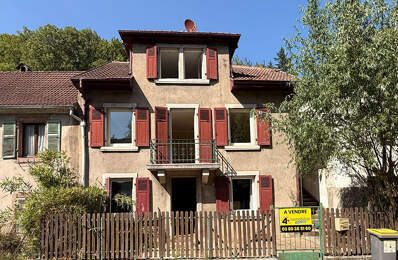 Maison Thann 7 pièce(s) 171 m2 — photo du bien
