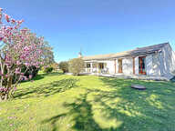 TOURNEFEUILLE - AUX PORTES DE LARDENNE - ENSEMBLE IMMOBILIER SUR UNE PARCELLE  ARBORRE DE 2523 M². — photo 3