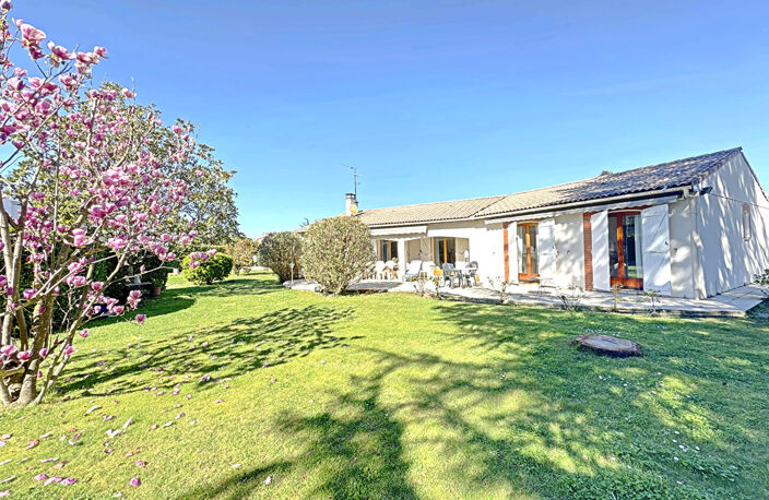TOURNEFEUILLE - AUX PORTES DE LARDENNE - ENSEMBLE IMMOBILIER SUR UNE PARCELLE  ARBORRE DE 2523 M². — photo 3