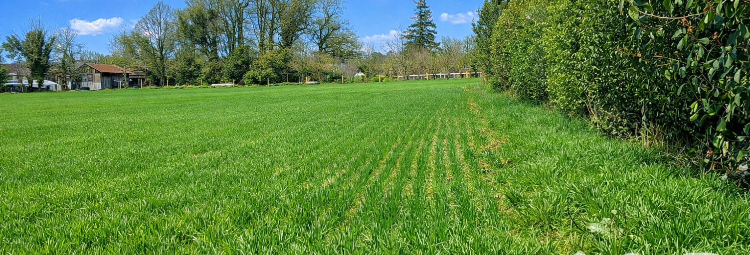 Terrain  1852 m² à vendre à Saint-Vincent-sur-Oust (56350)
