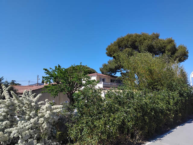 Murs commerciaux en zone touristique bord de mer — photo du bien