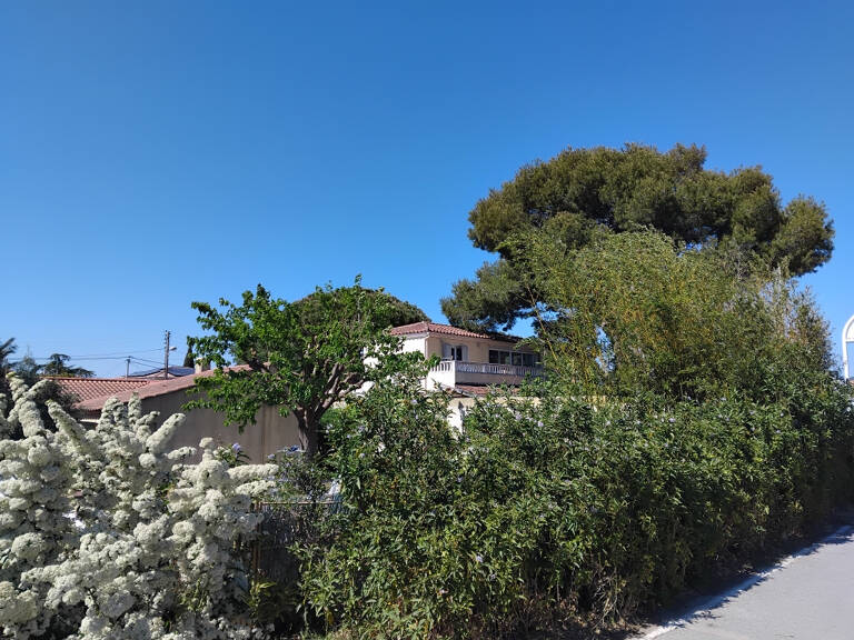 Murs commerciaux en zone touristique bord de mer — photo 1