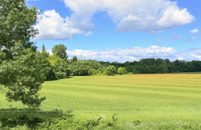 Propriété de charme — photo 3