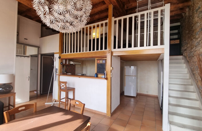 VENTE CALUIRE ET CUIRE 69300 - QUAIS RHONE FACE TETE D OR RAVISSANT CANUT T2 59M2 HABITABLES AVEC VUE EXCEPTIO — photo 2