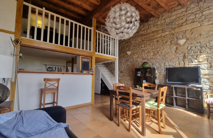 VENTE CALUIRE ET CUIRE 69300 - QUAIS RHONE FACE TETE D OR RAVISSANT CANUT T2 59M2 HABITABLES AVEC VUE EXCEPTIO — photo 3