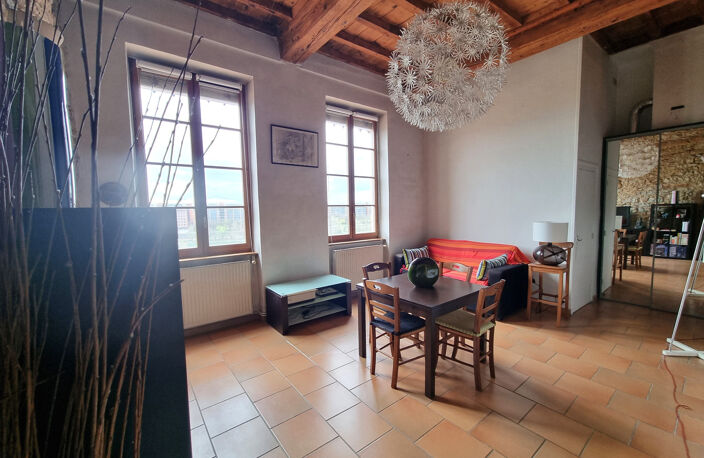 VENTE CALUIRE ET CUIRE 69300 - QUAIS RHONE FACE TETE D OR RAVISSANT CANUT T2 59M2 HABITABLES AVEC VUE EXCEPTIO — photo 4