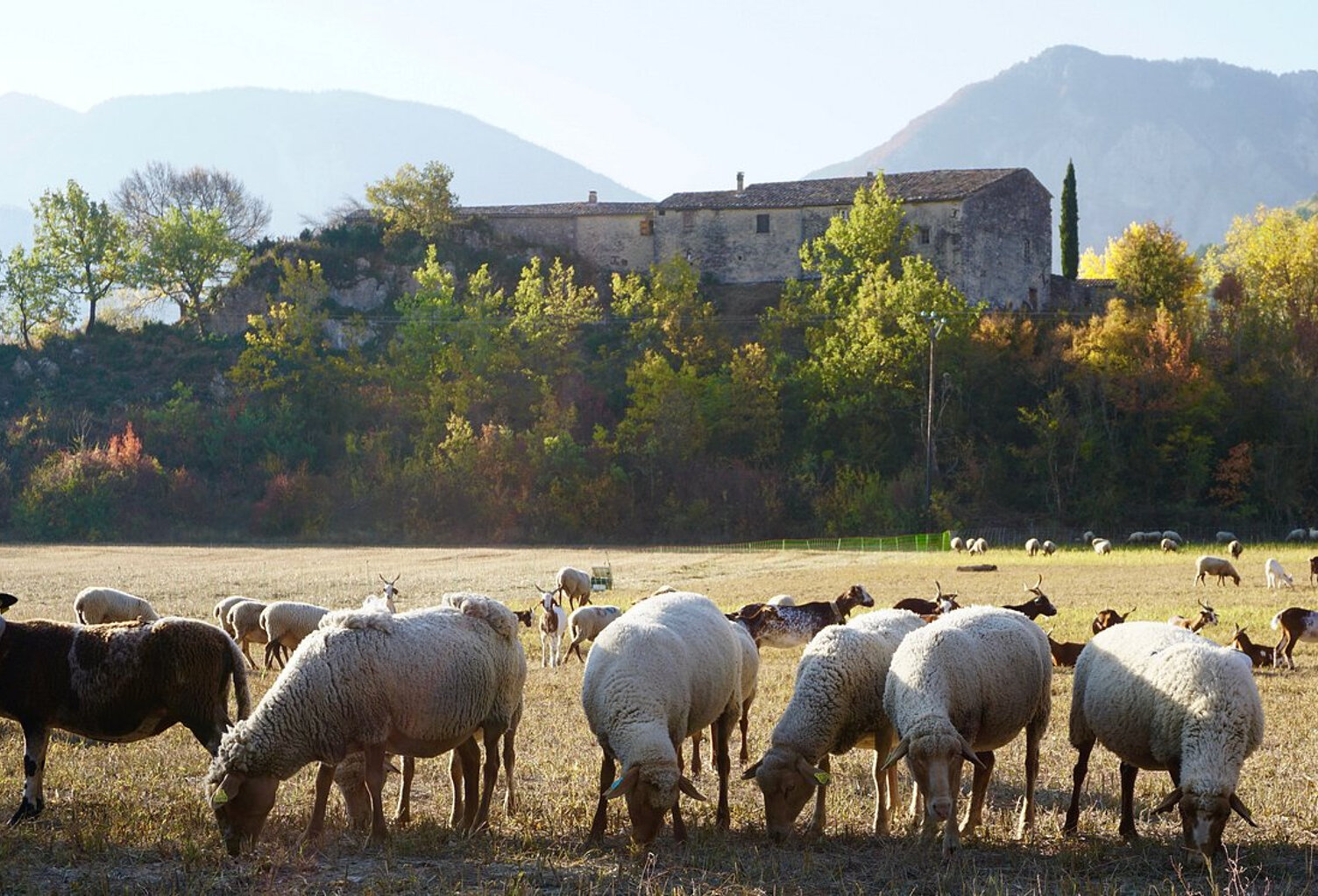 Propriété avec vue  panoramique — photo 1
