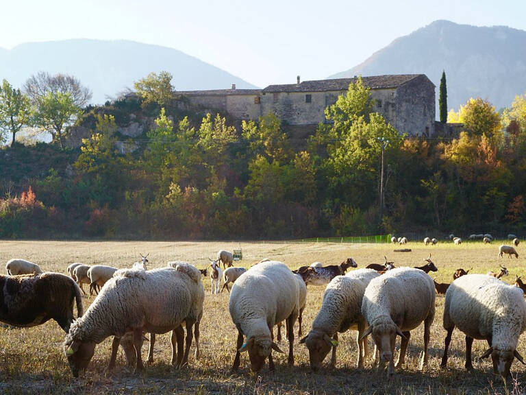 Propriété avec vue  panoramique — photo 1