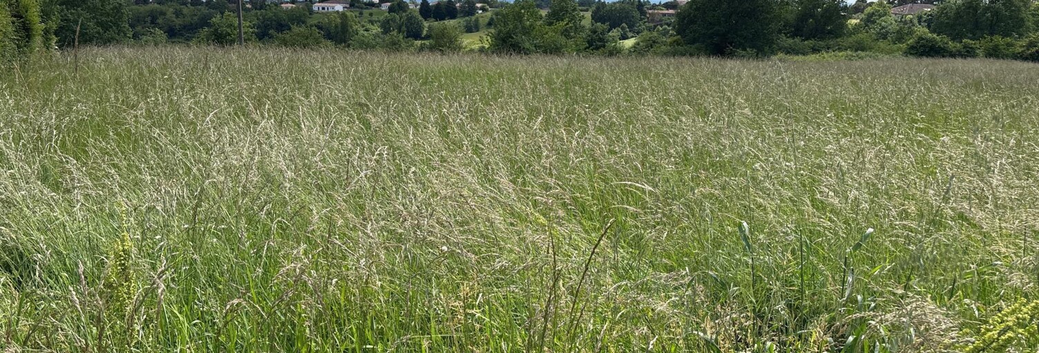 Terrain  1664 m² à vendre à Moissac (82200)