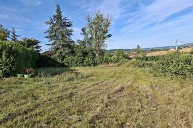 Terrain  25000 €