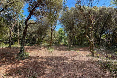 Terrain  904800 €