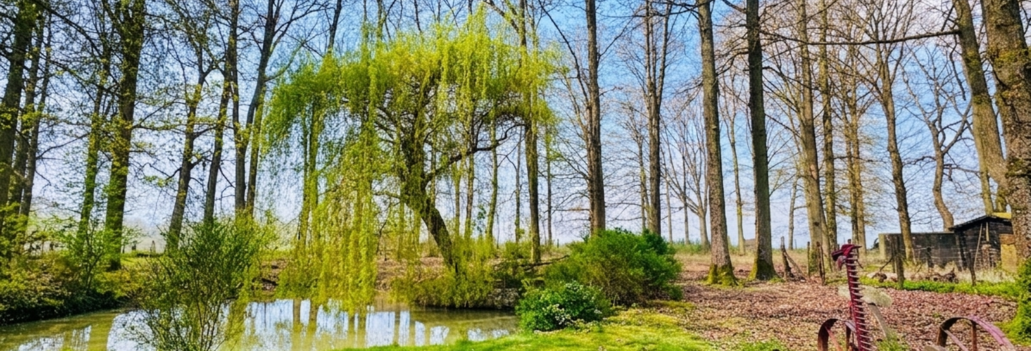 Photo N° 2