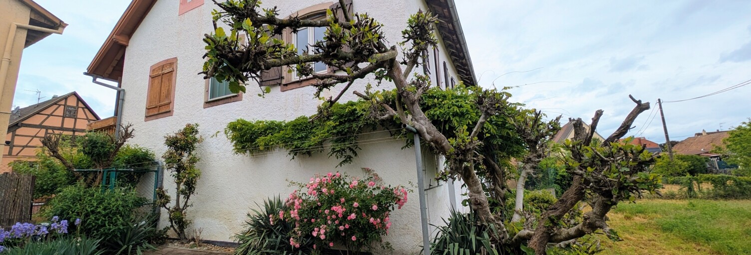 Maison 6 Pièces 172 m² à vendre à Herrlisheim-près-Colmar (68420)