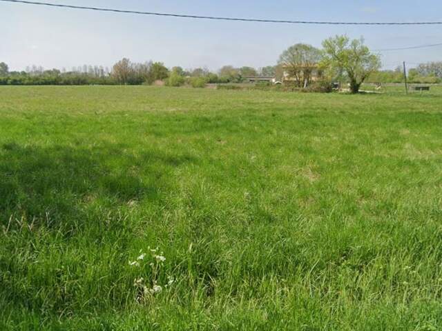 Vente Terrain à bâtir 17 424 m&sup2; — photo du bien