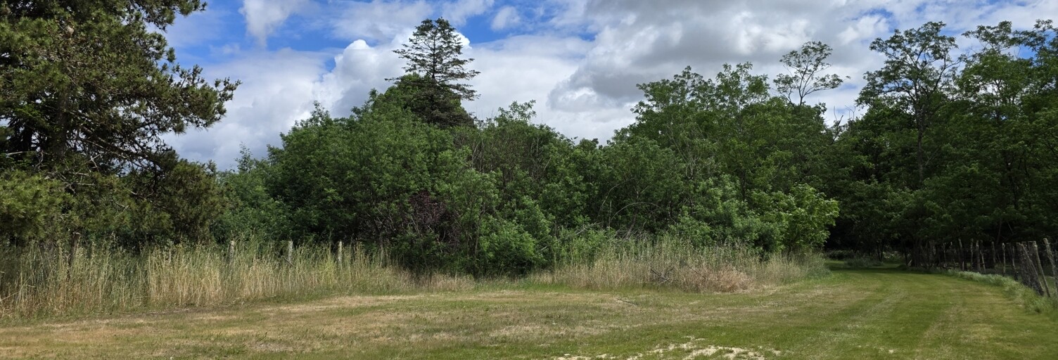 Terrain  800 m² à vendre à Soussans (33460)