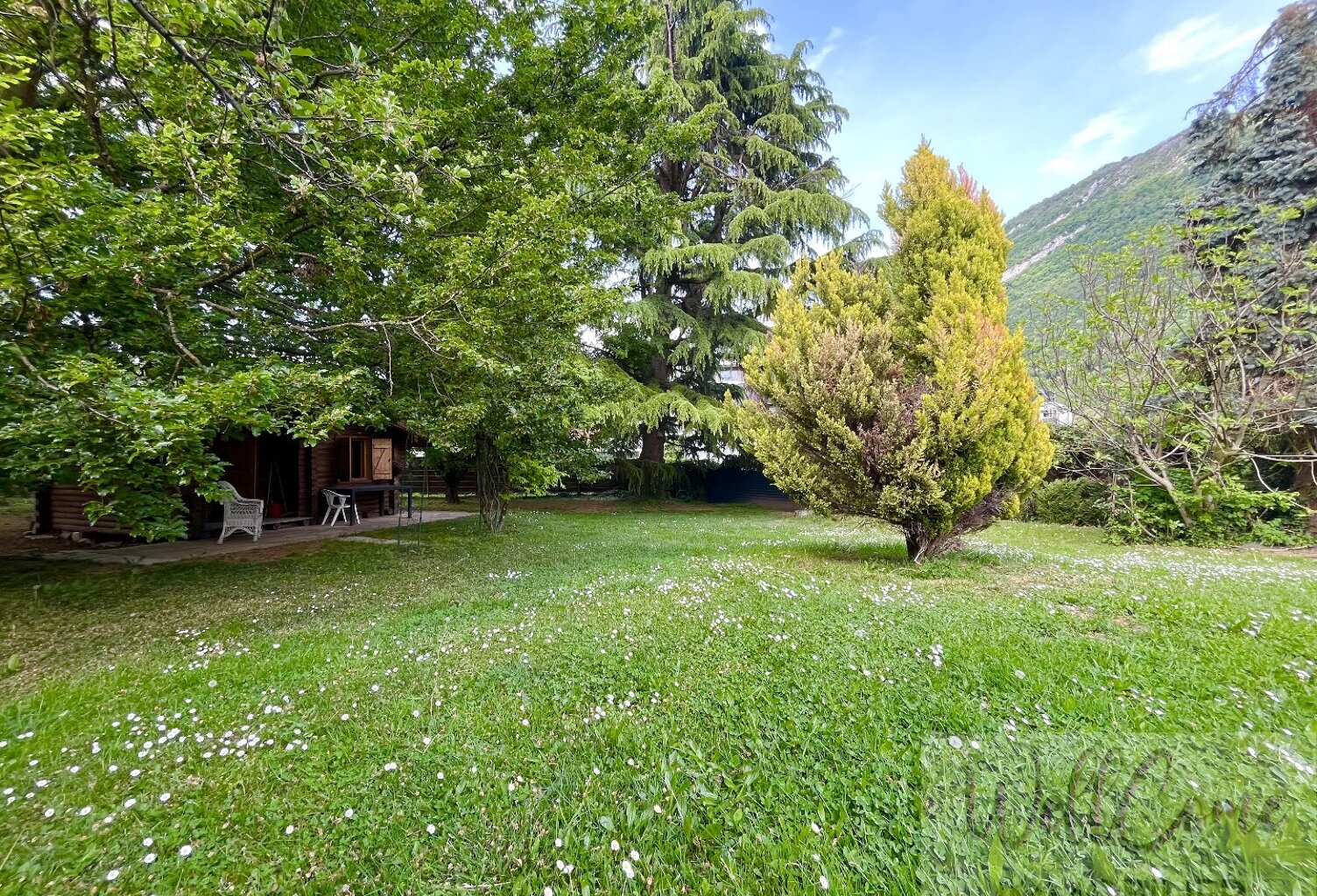 Terrain — photo 1