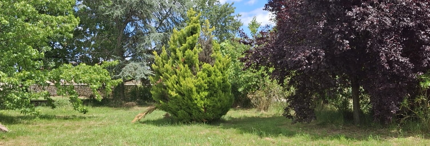 Terrain  850 m² à vendre à La Ville-Dieu-du-Temple (82290)