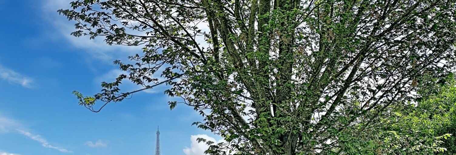 Appartement 4 Pièces 78 m² à vendre à Suresnes (92150)