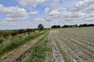 Terrain  278847 €
