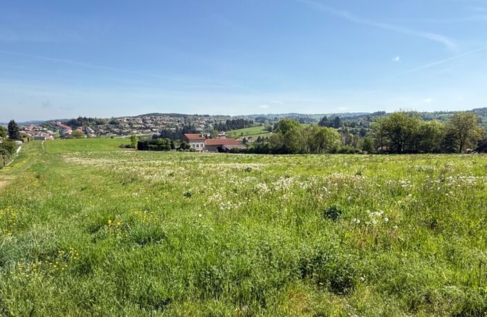 Terrains à vendre MONISTROL SUR LOIRE (43) — photo 2