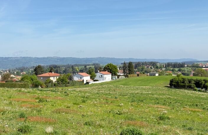 Terrains à vendre MONISTROL SUR LOIRE (43) — photo 3