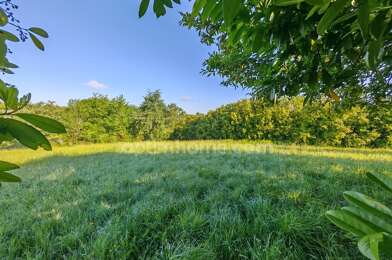 Terrain  35000 €