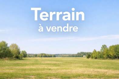 Terrain  318000 €