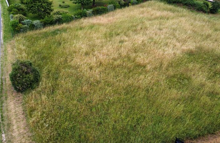 Terrain À Vendre 2543m2 CORME-ECLUSE — photo 3