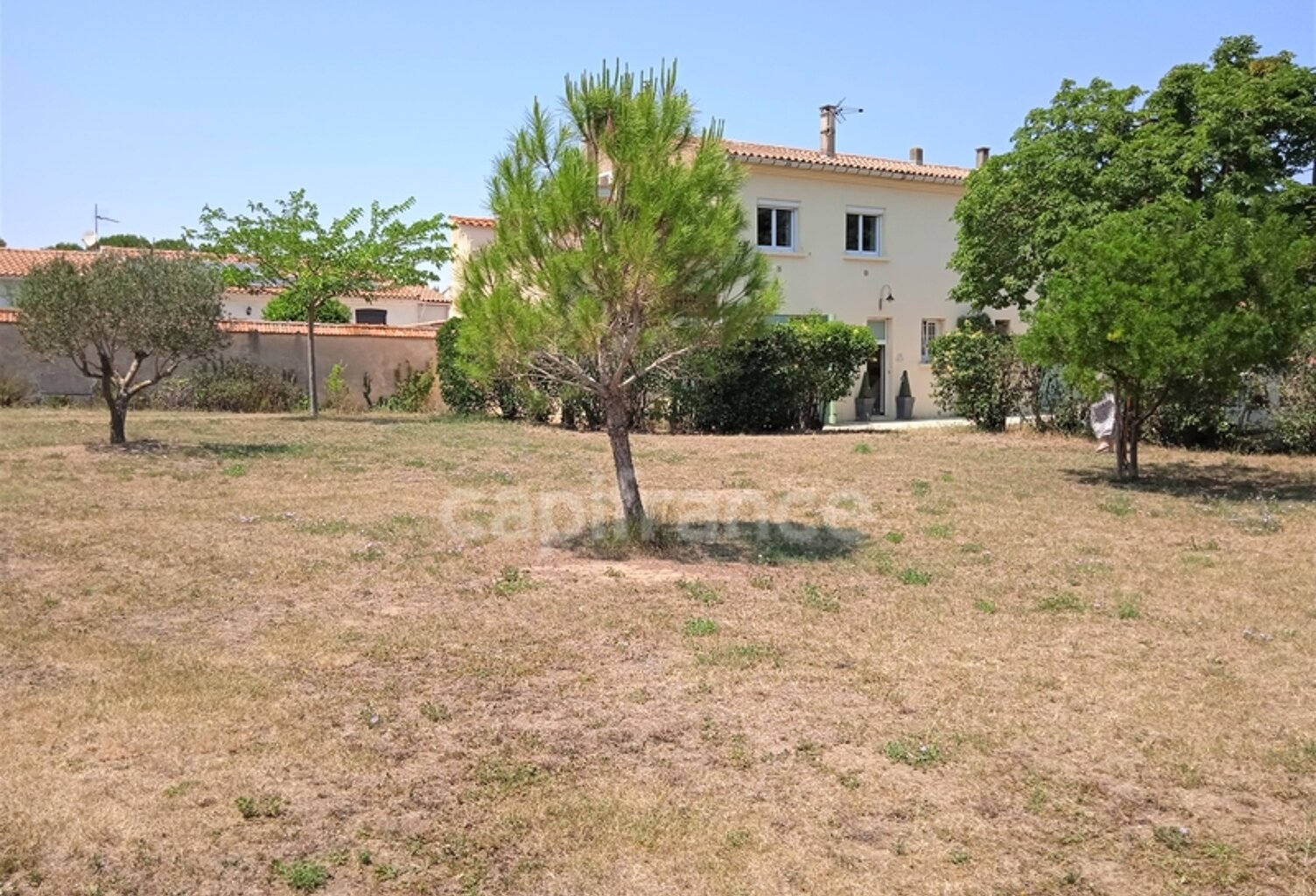 AU COEUR DU MINERVOIS,MAGNIFIQUE MAISON D'ENVIRON 130M²,5 GRANDES DEPENDANCES ET TERRAIN A BÂTIR — photo 1