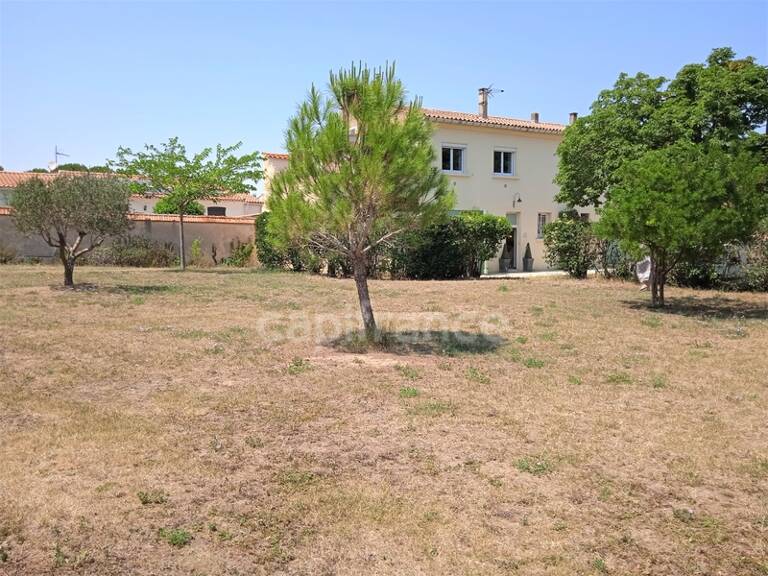 AU COEUR DU MINERVOIS,MAGNIFIQUE MAISON D'ENVIRON 130M²,5 GRANDES DEPENDANCES ET TERRAIN A BÂTIR — photo 1