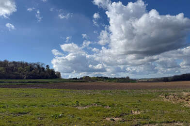 Terrain  100000 €