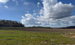 Photo N° 2