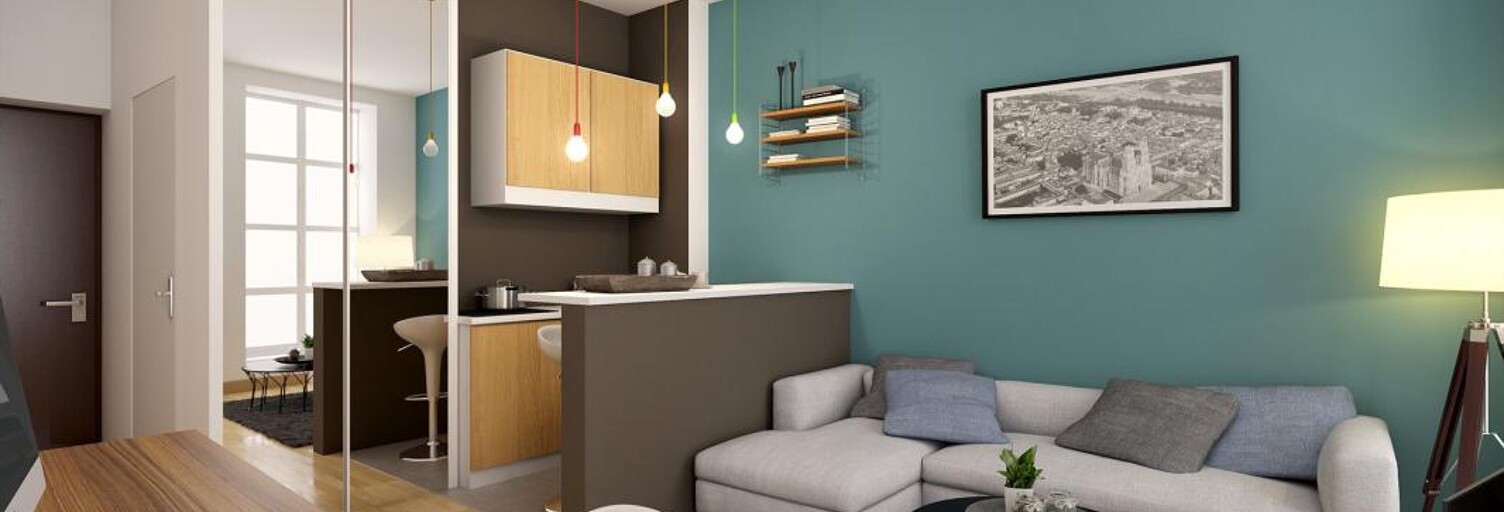 Appartement 1 Pièce 26 m² à vendre à Maisons-Alfort (94700)