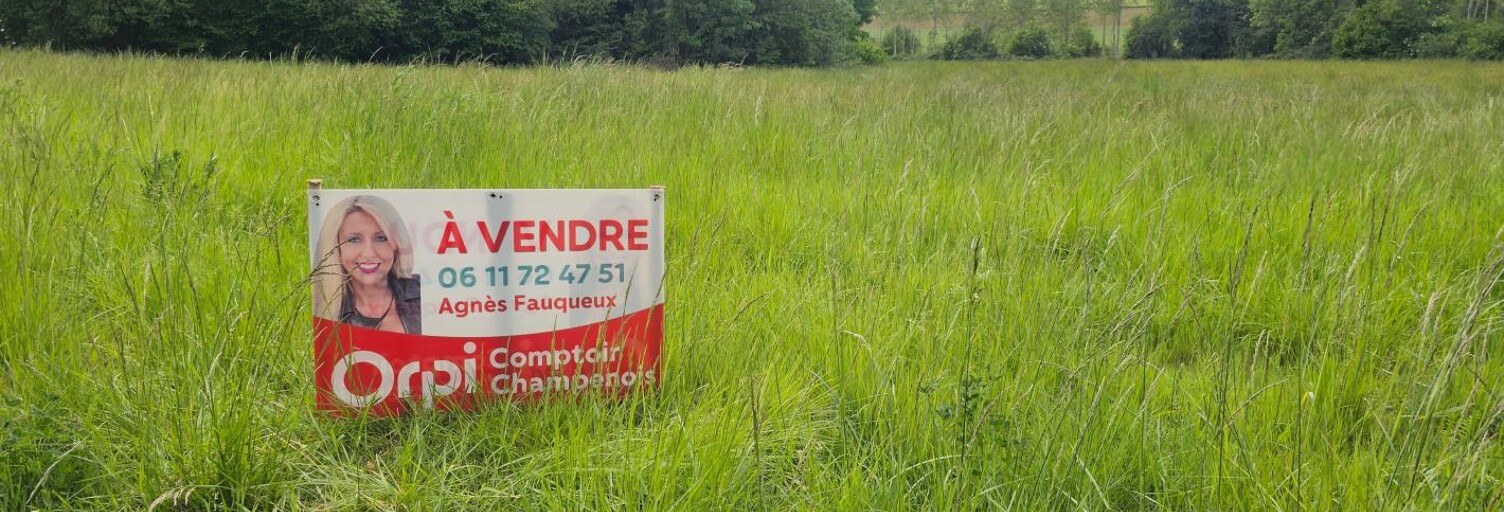 Terrain  839 m² à vendre à Faverolles-et-Coëmy (51170)
