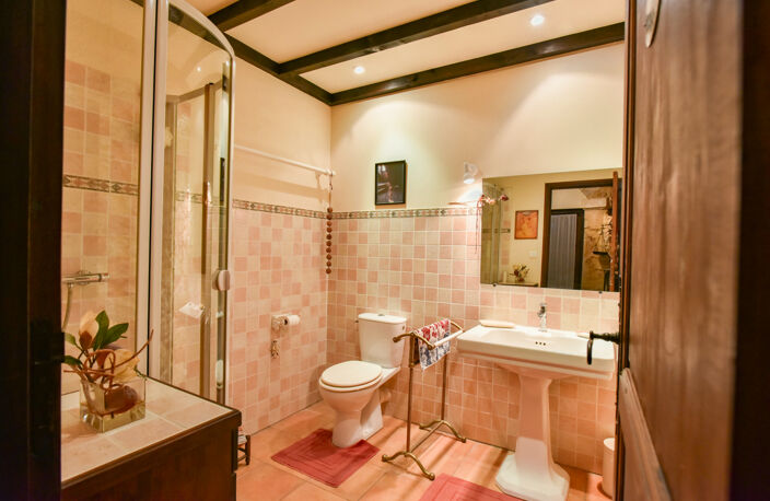 Maison de caractere, début XIXieme siecle, 9 pièce(s) 3ch, 200 m2,  grange, 2100 m2 terrain — photo 4