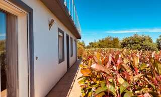 Maison 6 Pièces 270 m² à vendre à Zonza (20144)