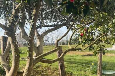 Appartement 4 pièces 162000 €