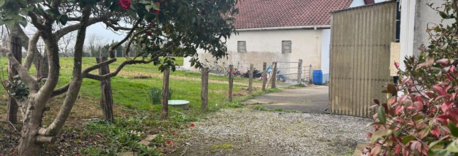 Photo N° 2
