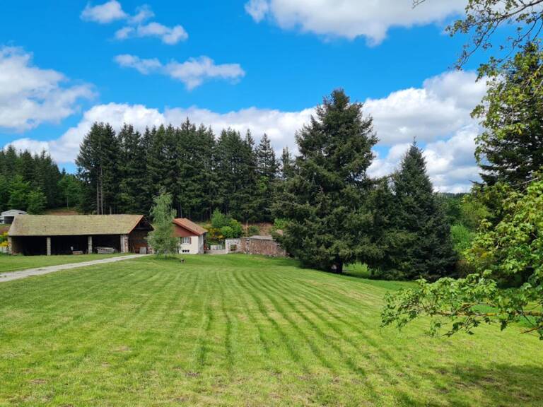 Entre Saint Pal de Mons et Saint Romain Lachalm 43620 ensemble immobilier 700m² de bâtiments dont une maison d'habitation sur 1 hectare de terrain constructible — photo 1