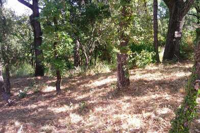 Terrain  180000 €