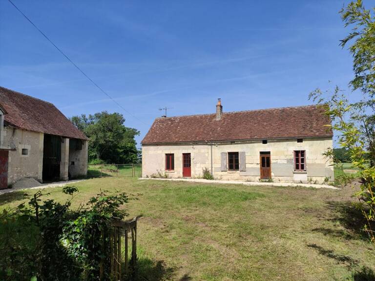 Longère Chaumussay 5 pièce(s) 109 m2 sur 2 Ha — photo 1