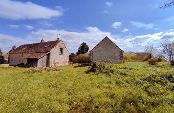 Longère Chaumussay 5 pièce(s) 109 m2 sur 2 Ha — photo 2