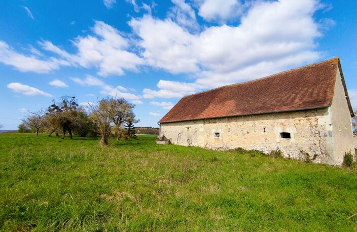 Longère Chaumussay 5 pièce(s) 109 m2 sur 2 Ha — photo 4