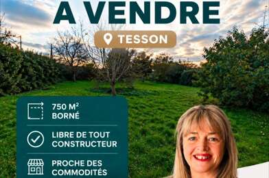 Terrain  25000 €