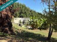 maison 170m2+pool house 35 m2+piscine-terrain 4813 m2 — photo 4