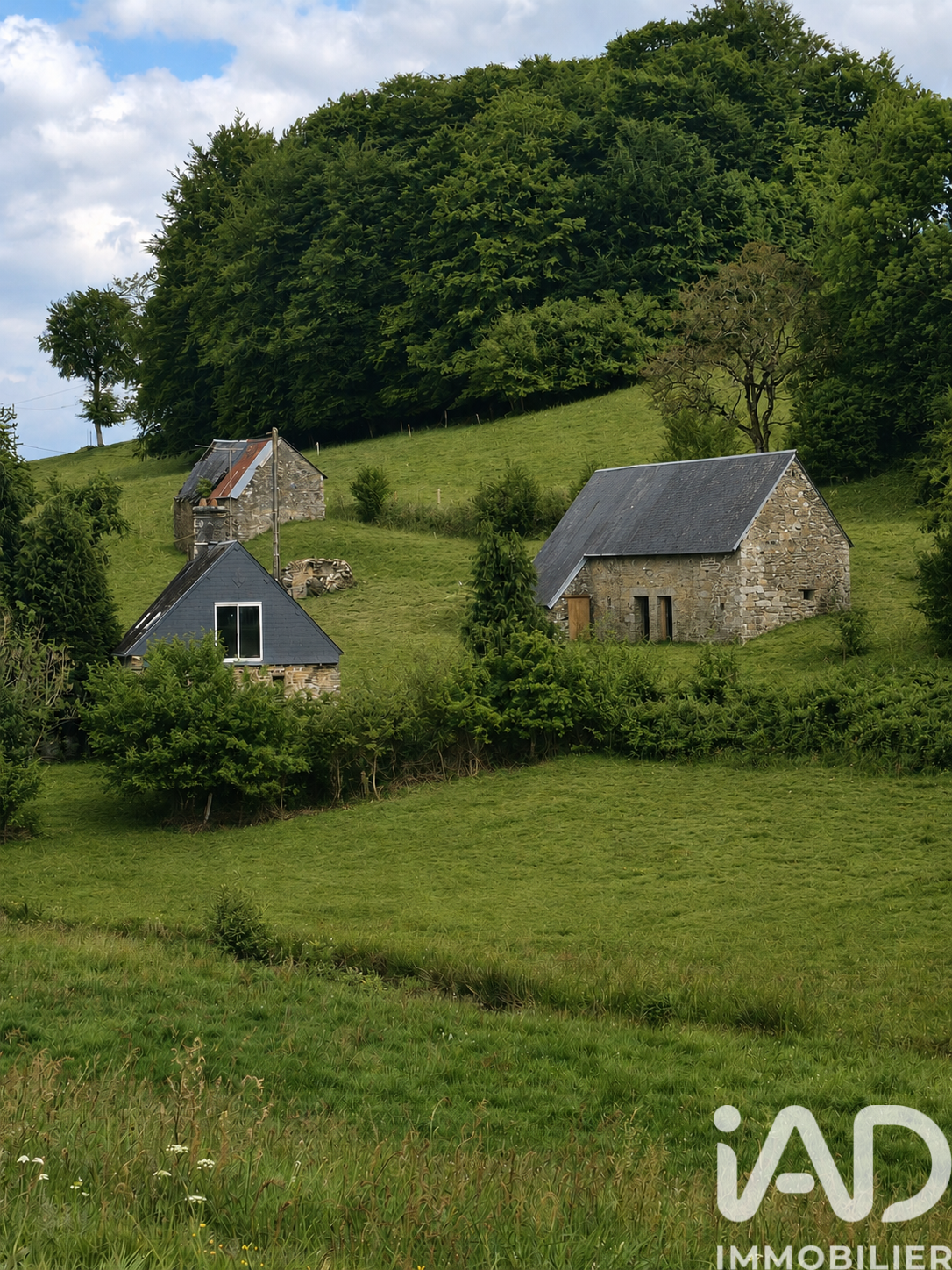 Agence immobilière de I@D FRANCE