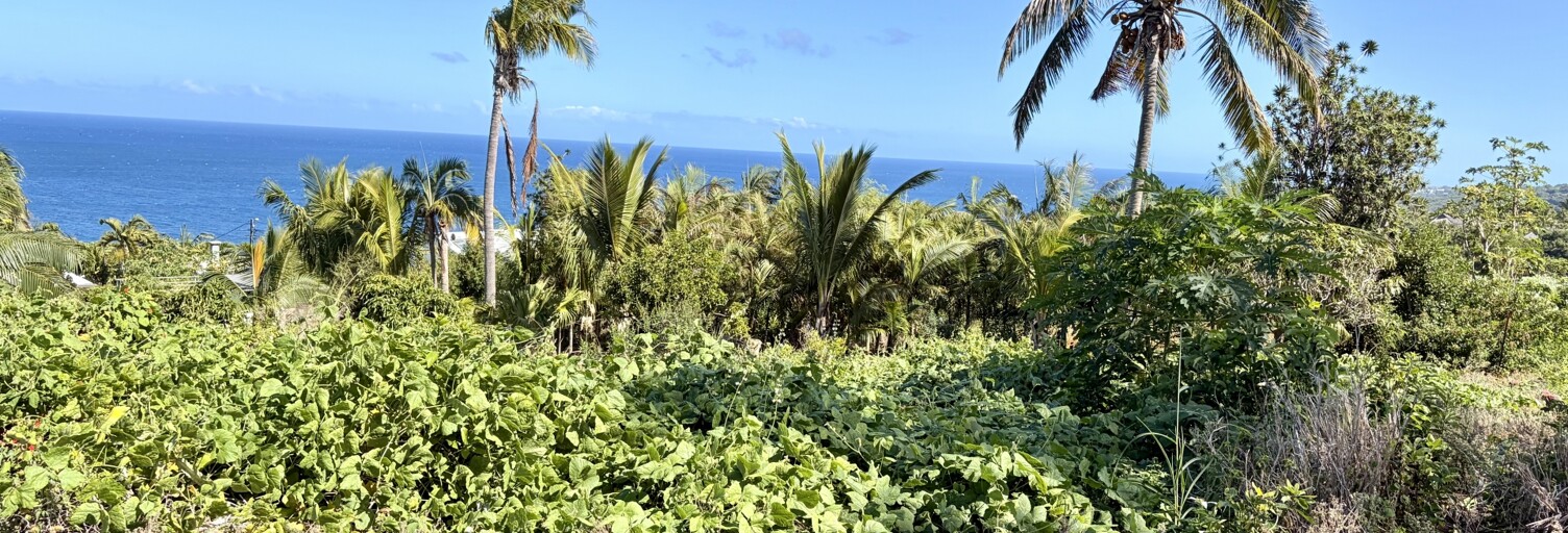 Terrain  510 m² à vendre à Petite-Île (97429)