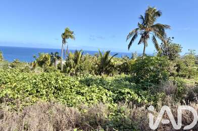 Terrain  239000 €