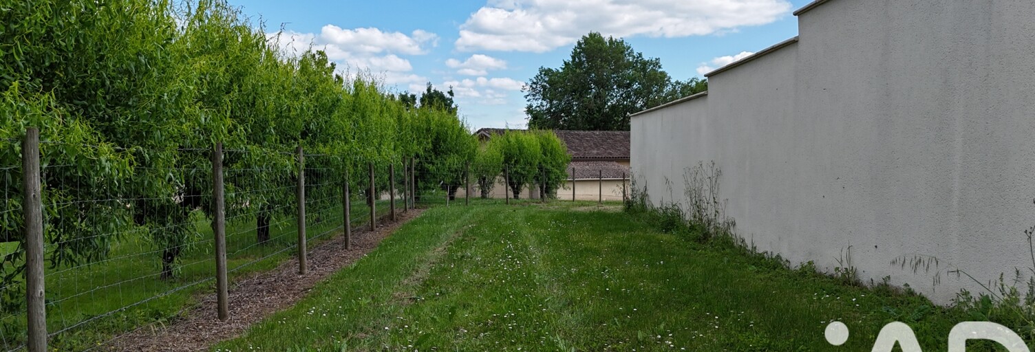 Photo N° 2