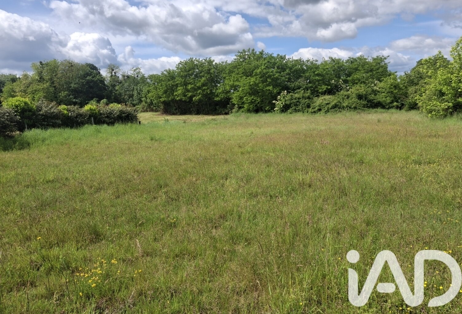 Vente Terrain à bâtir 11 063 m&sup2; — photo 1